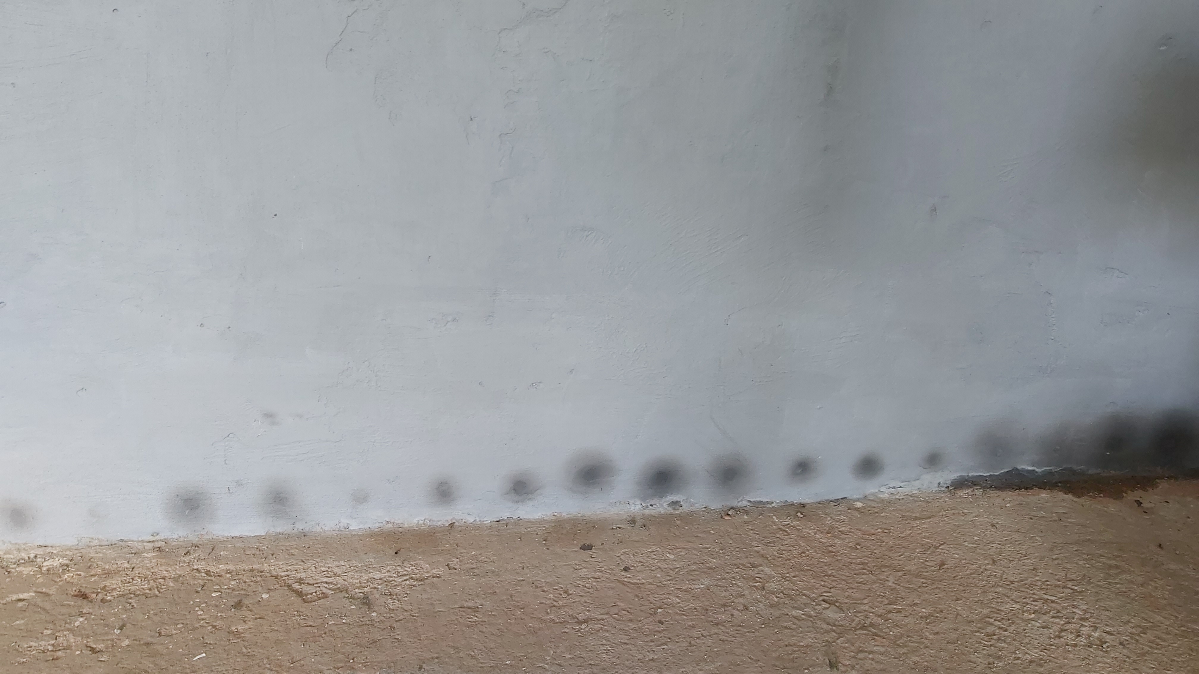 20260616_105943.jpg