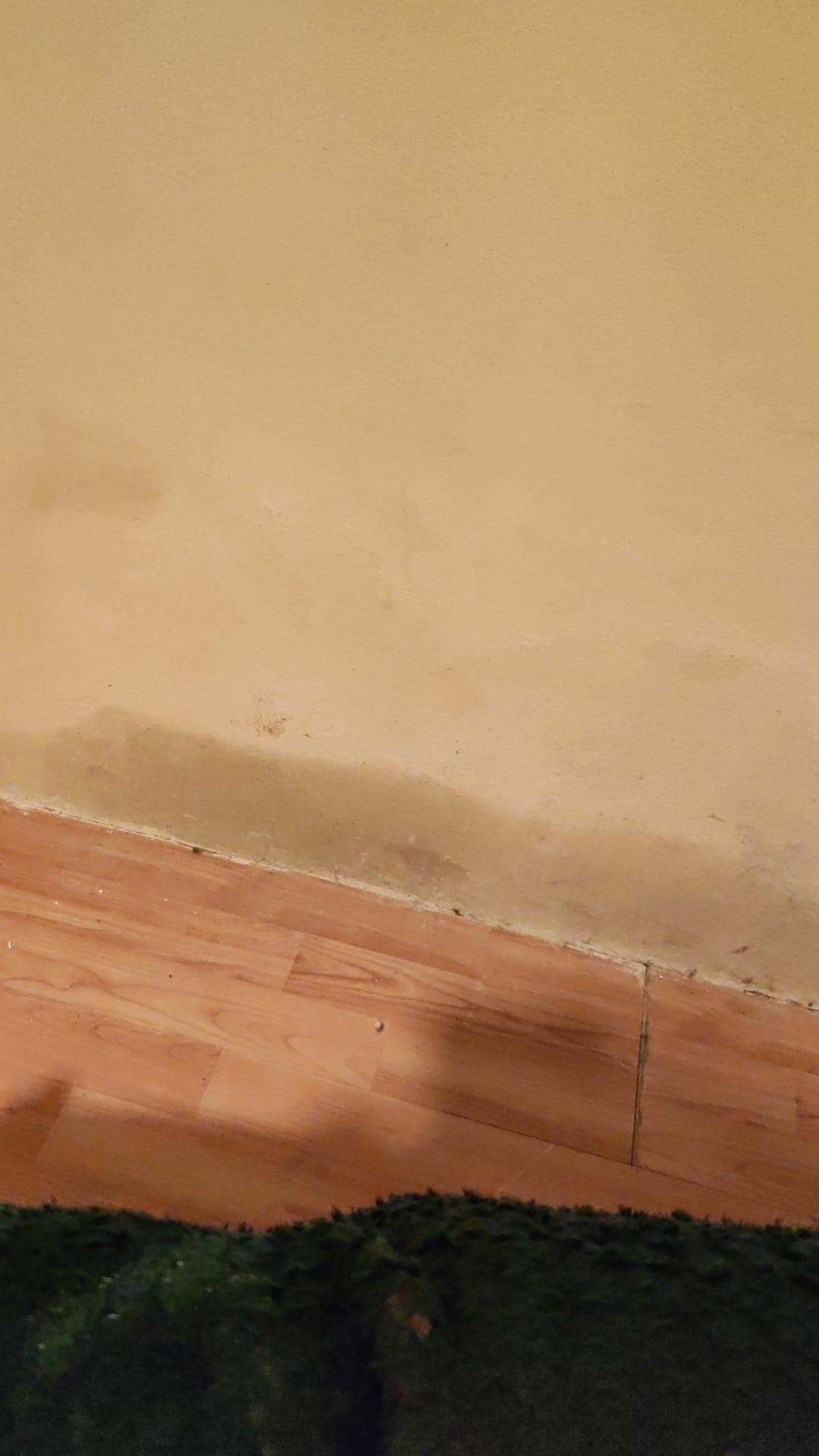 WhatsApp Image 2026-01-08 at 10.10.27.jpeg